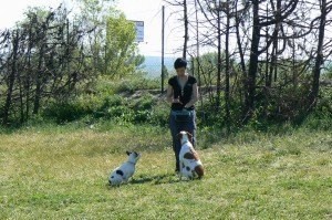 Sentados-y-atención (2)