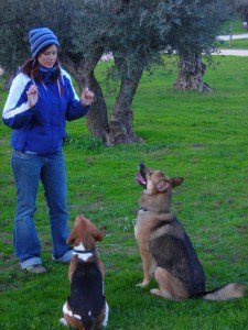 Sentados-y-atención