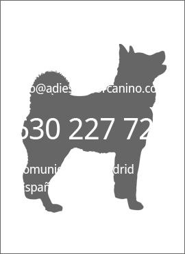 educador adiestrador canino Madrid