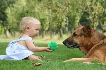 perros y niños-2