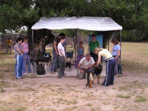 consulta-ficha-etología