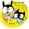 Negocio Protectora De Animales De Burgos