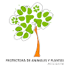 Negocio Protectora De Animales Y Plantas De Alacant