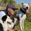 Actividades Caninas Youcan