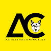 Adiestracaninos.es | Rehabilitación, Educación Y Adiestramiento Canino En Sevilla