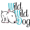 Negocio Adiestrador Canino Alicante-wild Wild Dog