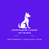 Adiestrador Canino Las Palmas