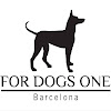 Negocio Adiestrador Y Guardería De Perros Barcelona For Dogs One