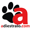 Negocio Adiestralo