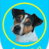 Negocio Adiestramiento Aula K9 Arete Can, Educación Cursos Talleres Formación Especializada Canina