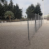 Adiestramiento Canino En Murcia Latana