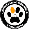 Adiestramiento Canino Mirasierra Málaga