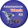 Adiestramiento Valencia (valencia Y Sagunto)