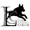 Negocio Adiestramiento Y Educación Canina Lankor