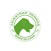Negocio Adiestrar Perros Barcelona