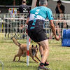 Negocio Agility Pawer
