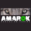 Negocio Amarok Educación Canina
