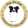 Negocio Anny And Dogs Educación Y Adiestramiento Canino Profesional