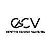 Negocio Ccv-villareal