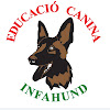 Negocio Centre D'ensinistrament Caní Infahund