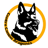 Centro Canino Aragonés