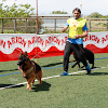 Centro Canino Del Sarmental