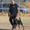 Negocio Centro Canino Y De Adiestramiento Adicapal