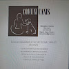 Negocio Comunicanis Educadora Canina Y Veterinaria