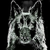 Negocio Danacan Adiestramiento Canino