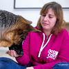 Negocio Dog Calm Educación Canina