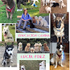 Educador Canino Lucía Fernández Rosa
