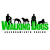 Educadores Caninos - Walking Dogs Valencia
