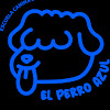Negocio El Perro Azul Escuela Canina Sl.