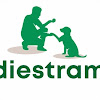 Galiadiestramiento