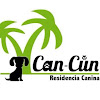 Negocio Hotel De Mascotas Alicante Can-cun