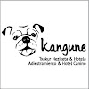 Negocio Kangune