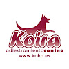 Koira Adiestramiento Canino