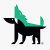 Lobo Descafeinado - Adiestramiento Canino En Valencia - Educación Y Actividades