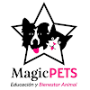 Negocio Magic Pets, Educación Natural Y Respetuosa