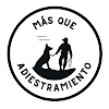 Negocio Más Que Adiestramiento | Adiestrador Canino En Vitoria