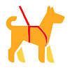 Masterofcanes - Educación Y Adiestramiento Canino Valencia