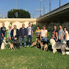 Negocio Mimomimascota Del Educador Canino Nacho Roca