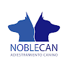 Noblecan Adiestramiento Canino En Valencia