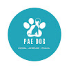 Pae Dog | Educadora Canina