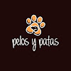 Peluquería, Guardería Y Educación Canina Pelos & Patas