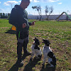 Residencia Canina Y Felina Y Escuela De Adiestramiento Las Palomas