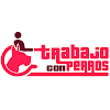 Negocio Trabajo Con Perros Adiestramiento