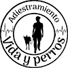 Vida Y Perros