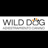 Negocio Wilddog Adiestramiento Canino