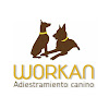 Negocio Workan